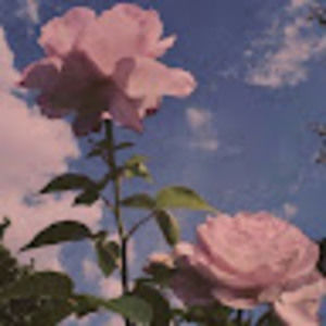 Meet your Posher, Emilio